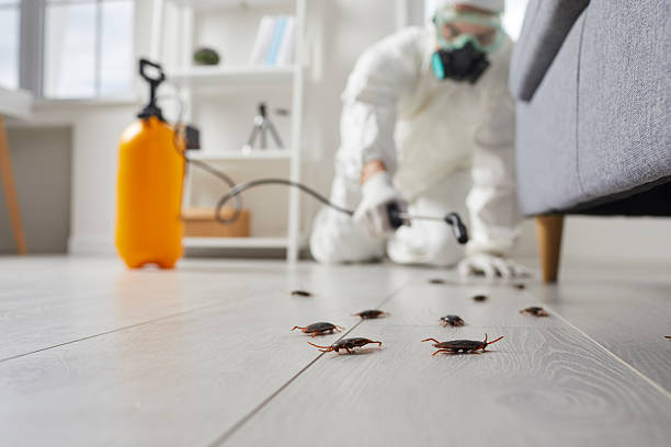 Trusted Fumigation Services service in Cañoncito, NM - Nex Pest Control
