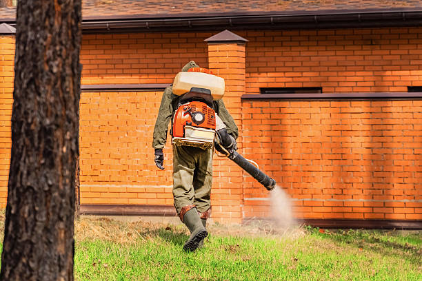 Trusted Ant Control service in Cañoncito, NM - Nex Pest Control